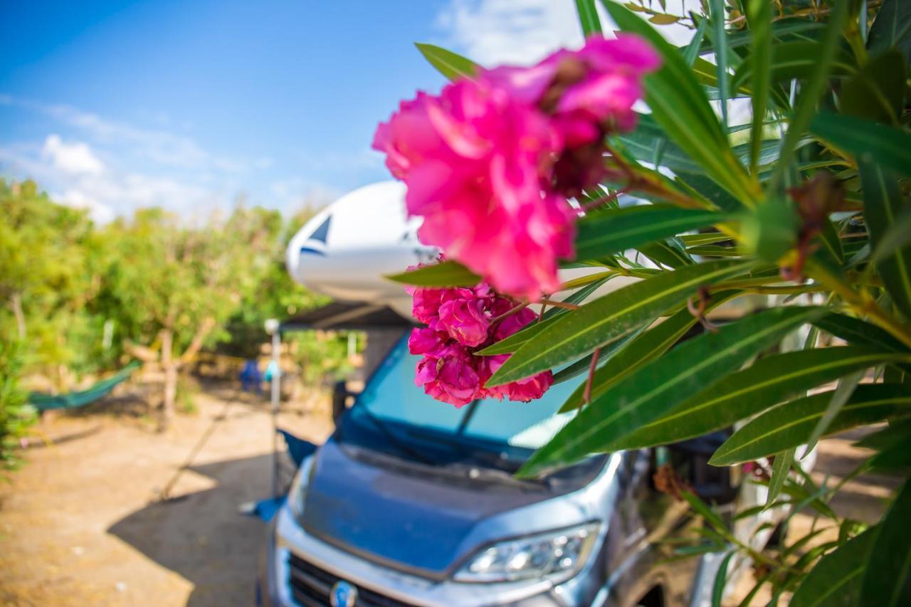 Village & Camping La Foce Валедория Екстериор снимка
